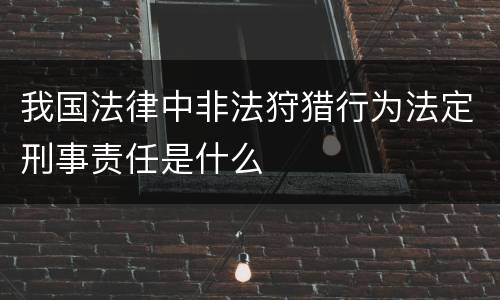 我国法律中非法狩猎行为法定刑事责任是什么