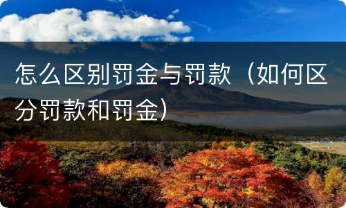 怎么区别罚金与罚款（如何区分罚款和罚金）