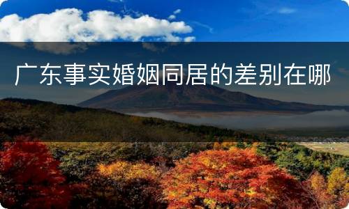 广东事实婚姻同居的差别在哪