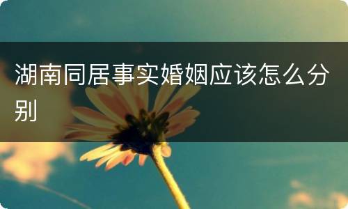 湖南同居事实婚姻应该怎么分别