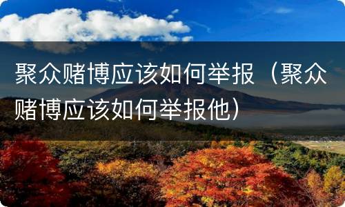 聚众赌博应该如何举报（聚众赌博应该如何举报他）