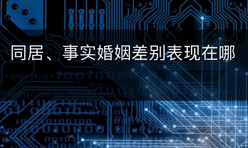 同居、事实婚姻差别表现在哪