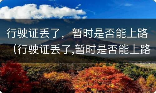 行驶证丢了，暂时是否能上路（行驶证丢了,暂时是否能上路了）