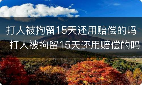 打人被拘留15天还用赔偿的吗 打人被拘留15天还用赔偿的吗为什么