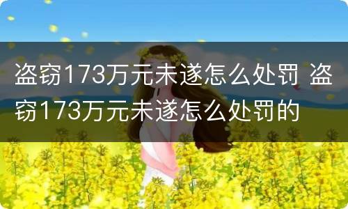 盗窃173万元未遂怎么处罚 盗窃173万元未遂怎么处罚的