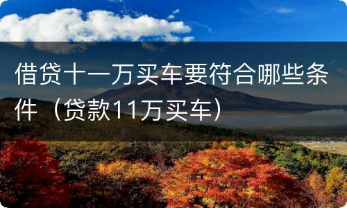 借贷十一万买车要符合哪些条件（贷款11万买车）