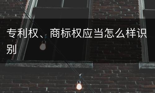 专利权、商标权应当怎么样识别
