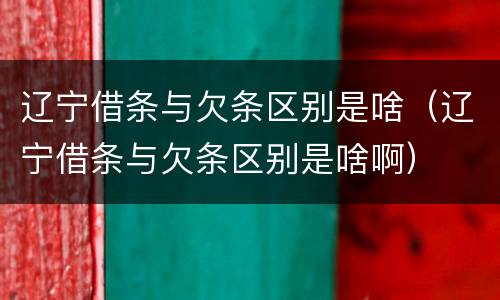 辽宁借条与欠条区别是啥（辽宁借条与欠条区别是啥啊）