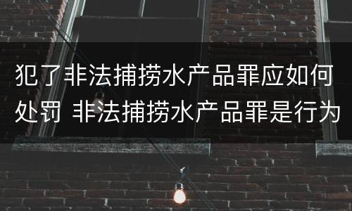 犯了非法捕捞水产品罪应如何处罚 非法捕捞水产品罪是行为犯还是结果犯
