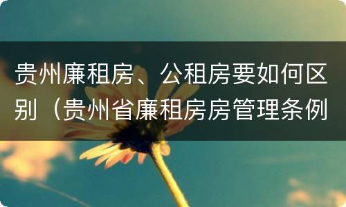 贵州廉租房、公租房要如何区别（贵州省廉租房房管理条例）