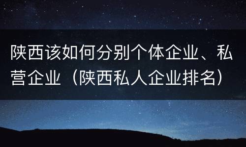 陕西该如何分别个体企业、私营企业（陕西私人企业排名）