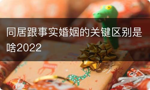 同居跟事实婚姻的关键区别是啥2022
