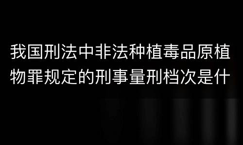 我国刑法中非法种植毒品原植物罪规定的刑事量刑档次是什么