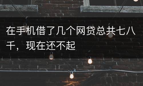 在手机借了几个网贷总共七八千，现在还不起