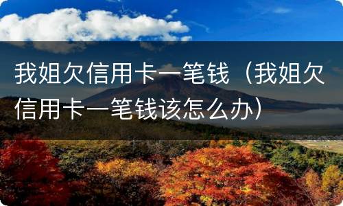 我姐欠信用卡一笔钱（我姐欠信用卡一笔钱该怎么办）