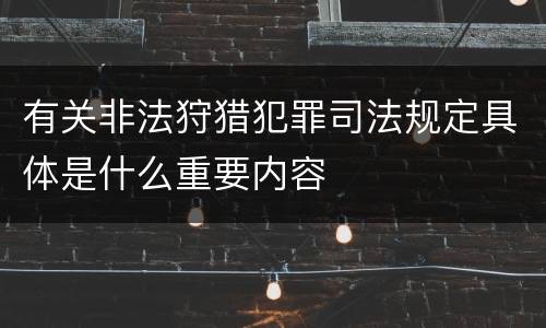 有关非法狩猎犯罪司法规定具体是什么重要内容