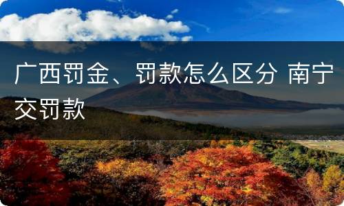广西罚金、罚款怎么区分 南宁交罚款