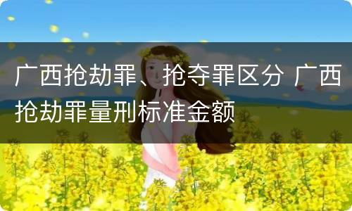 广西抢劫罪、抢夺罪区分 广西抢劫罪量刑标准金额