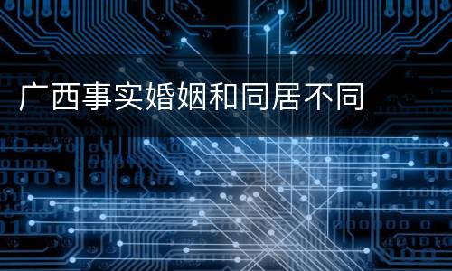 广西事实婚姻和同居不同