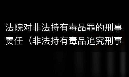 法院对非法持有毒品罪的刑事责任（非法持有毒品追究刑事责任吗）