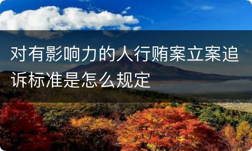 对有影响力的人行贿案立案追诉标准是怎么规定