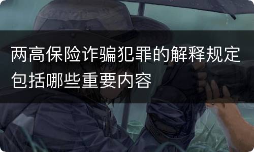 两高保险诈骗犯罪的解释规定包括哪些重要内容