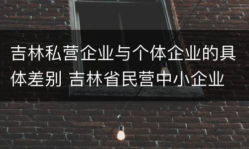 吉林私营企业与个体企业的具体差别 吉林省民营中小企业