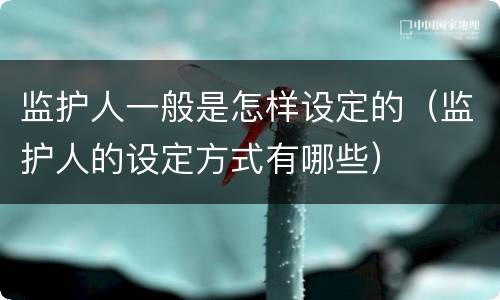 监护人一般是怎样设定的（监护人的设定方式有哪些）