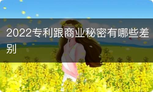 2022专利跟商业秘密有哪些差别