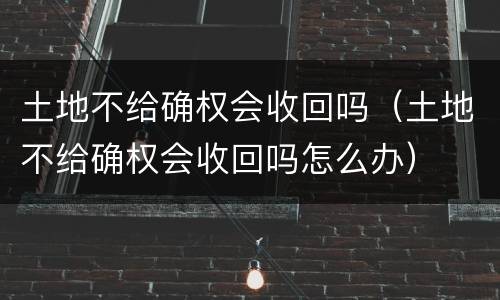 土地不给确权会收回吗（土地不给确权会收回吗怎么办）