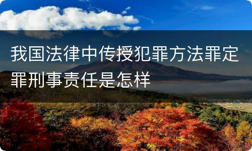 我国法律中传授犯罪方法罪定罪刑事责任是怎样