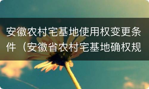 安徽农村宅基地使用权变更条件（安徽省农村宅基地确权规定）