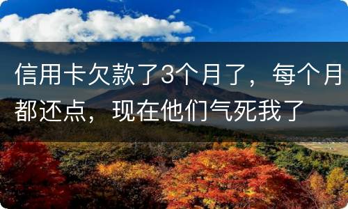 信用卡欠款了3个月了,每个月都还点,现在他们气死我了