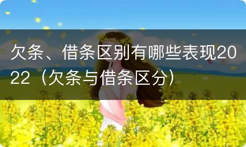 欠条、借条区别有哪些表现2022（欠条与借条区分）