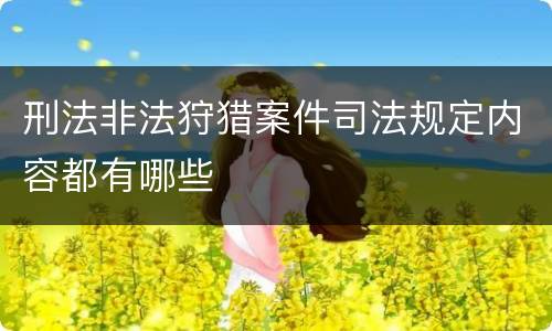 刑法非法狩猎案件司法规定内容都有哪些