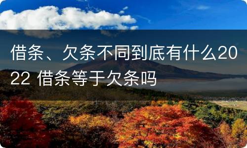 借条、欠条不同到底有什么2022 借条等于欠条吗