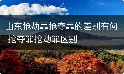 山东抢劫罪抢夺罪的差别有何 抢夺罪抢劫罪区别