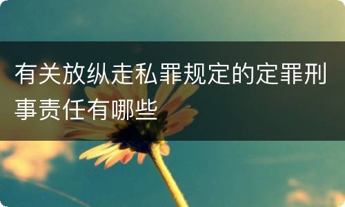 有关放纵走私罪规定的定罪刑事责任有哪些