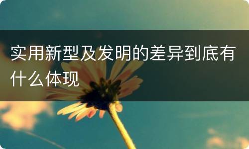 实用新型及发明的差异到底有什么体现