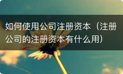 如何使用公司注册资本（注册公司的注册资本有什么用）