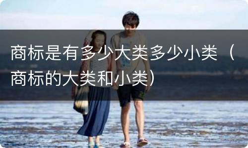 商标是有多少大类多少小类（商标的大类和小类）