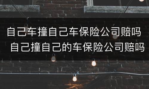 自己车撞自己车保险公司赔吗 自己撞自己的车保险公司赔吗