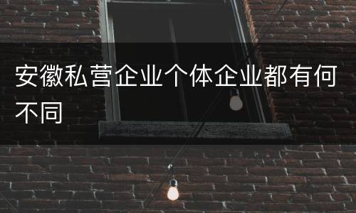 安徽私营企业个体企业都有何不同