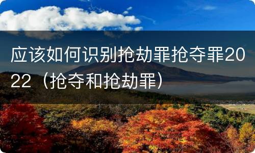 应该如何识别抢劫罪抢夺罪2022（抢夺和抢劫罪）