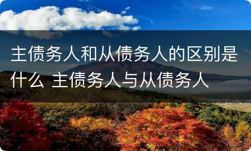 主债务人和从债务人的区别是什么 主债务人与从债务人