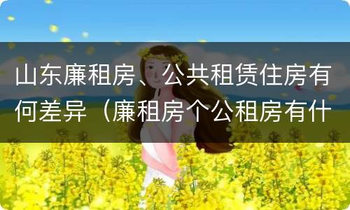 山东廉租房、公共租赁住房有何差异（廉租房个公租房有什么区别）