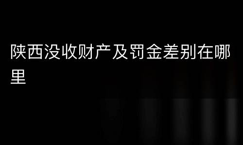 陕西没收财产及罚金差别在哪里