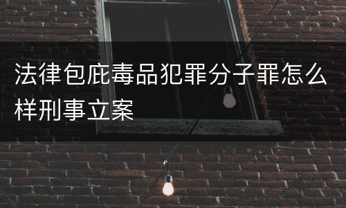 法律包庇毒品犯罪分子罪怎么样刑事立案