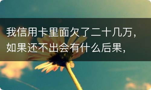 我信用卡里面欠了二十几万，如果还不出会有什么后果，