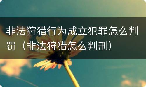 非法狩猎行为成立犯罪怎么判罚（非法狩猎怎么判刑）
